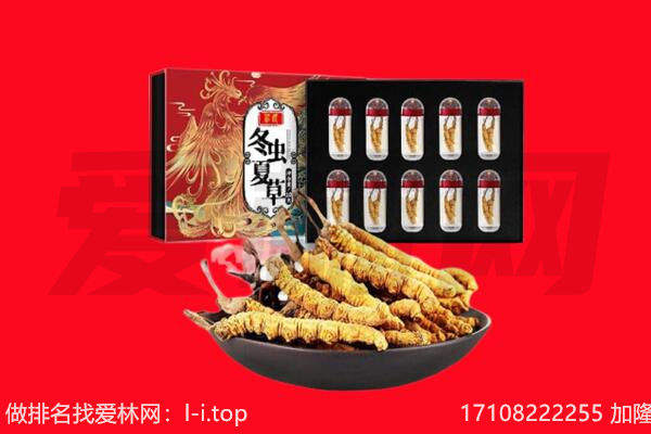 泉州市德化回收虫草.jpg
